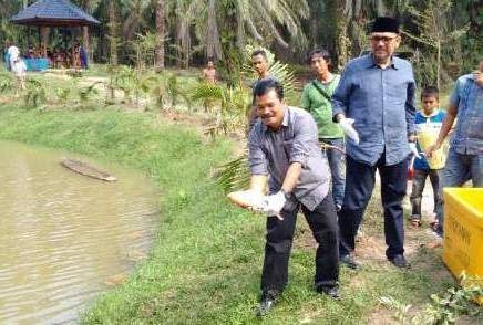 Wali Kota Langsa Lepas 100 Gurami di Kolam RTH