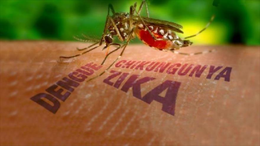 Presiden Jokowi Minta Menkes Waspadai Penyebaran Virus Zika
