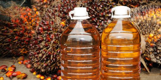 BI Sumut Desak Pemerintah Tingkatkan Kapasitas CPO