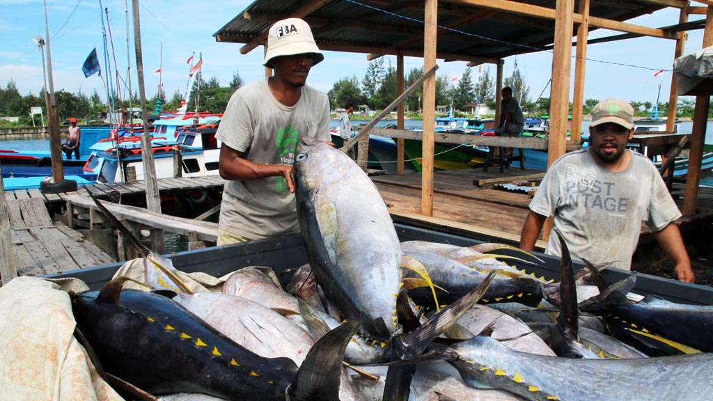 Ambisi Menko Rizal RI Jadi Produsen Produk Tuna Terbesar di Dunia
