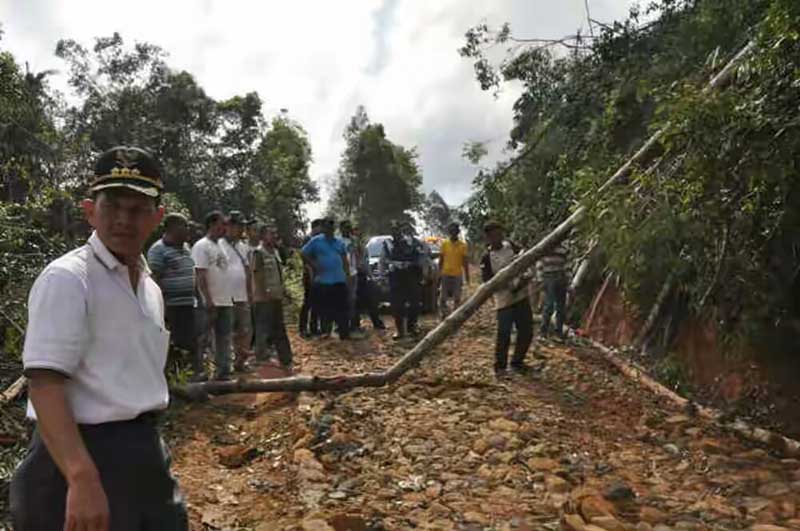 Hutan Lindung Dibabat, Camat SDH Kena Tegur