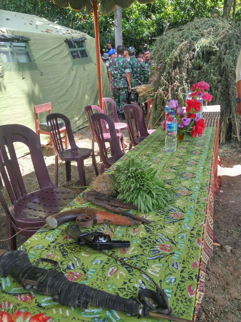 Wouw... TNI Temukan 67,5 Ha Ladang Ganja