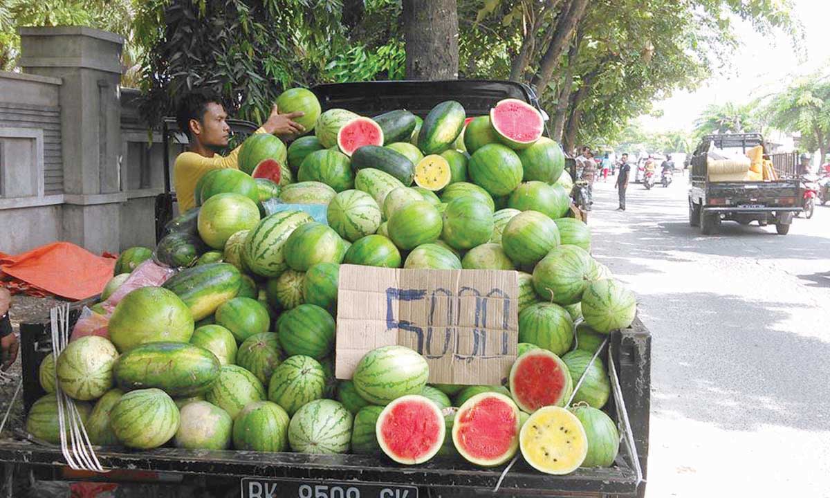 Semangka Buah  Paling Dicari di Bulan Puasa