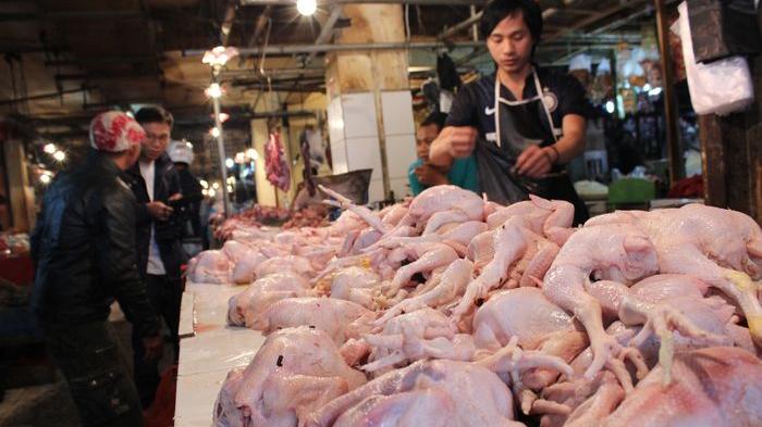 Mendekati Tahun Baru 2017, Harga Ayam Ras di Medan Naik