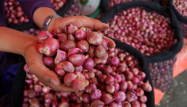 Bawang Merangkak Naik
