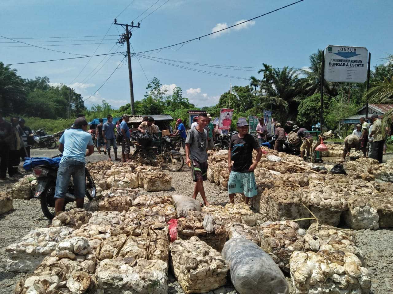 Harga Karet Merangkak Naik