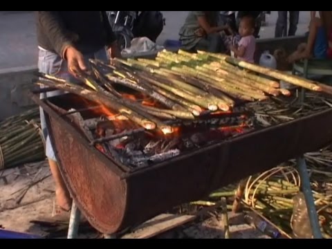 Pucuk Rotan Penambah Selera Bulan Ramadhan