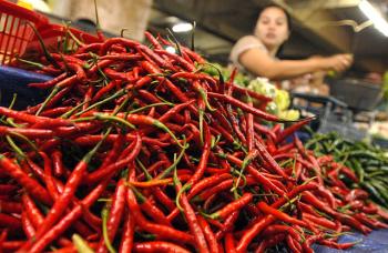 Harga Cabai Meroket, Kemendag: Pengaruh dari Pasokan