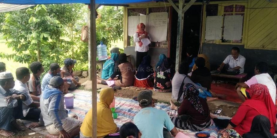 Kelompok Tani Bungo Padi Kelurahan Nan Balimo   Pertahankan Produksi Padi dengan Pengendalian Hama