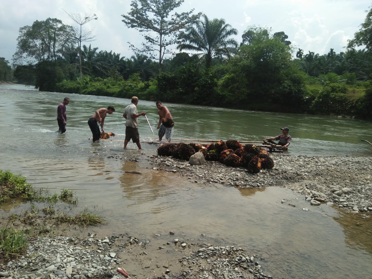 Masyarakat Butuh Jembatan Permanen Untuk Lansir TBS