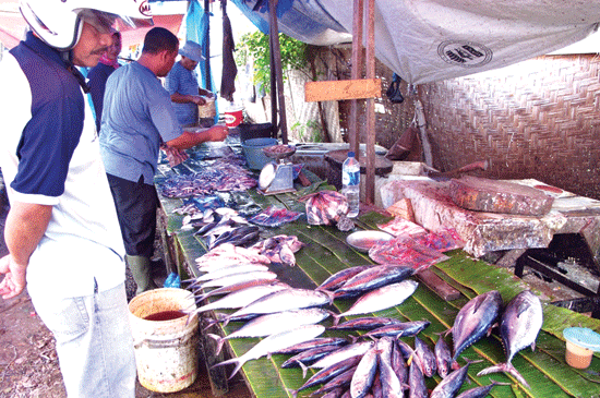 Konsumen Lebih Menyukai Ikan Lokal