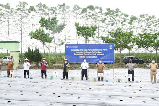 BI Sumut-Pesantren Al- Hidayah Tanam Bawang dan Cabai Merah