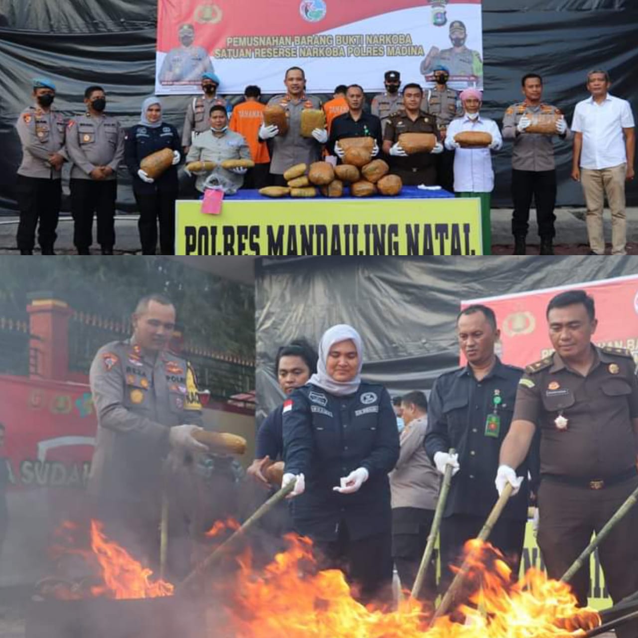 POLRES MADINA MUSNAHKAN BARANG BUKTI  NARKOTIKA JENIS GANJA 22 BALL
