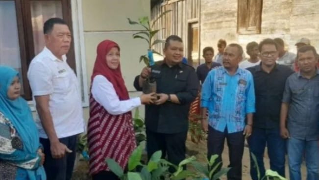 Bupati Tapsel Bagikan 3.000 bibit manggis Kepada Masyarakat.