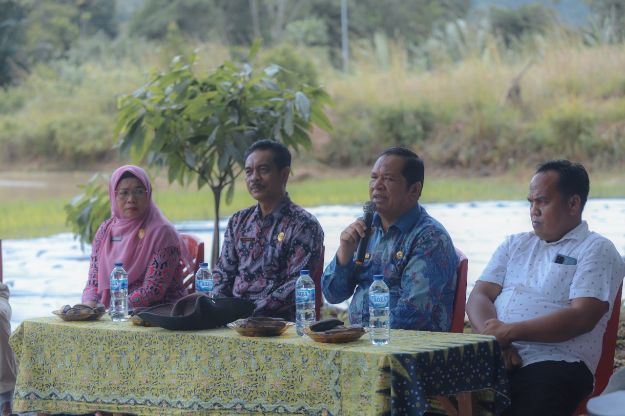 Pemerintah Kota Padang Sidempuan mendorong petaniÂ  terus Meningkatkan Hasil
