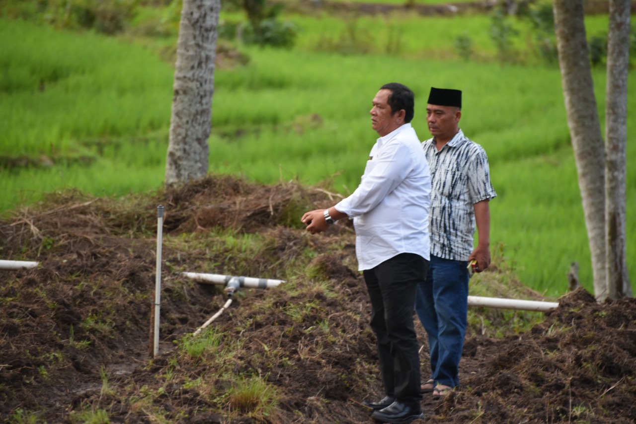 Kendalikan Inflasi, Walikota Irsan Efendi Nasution : Beberapa Lokasi Ditanam Cabe, Bawang dan Tomat