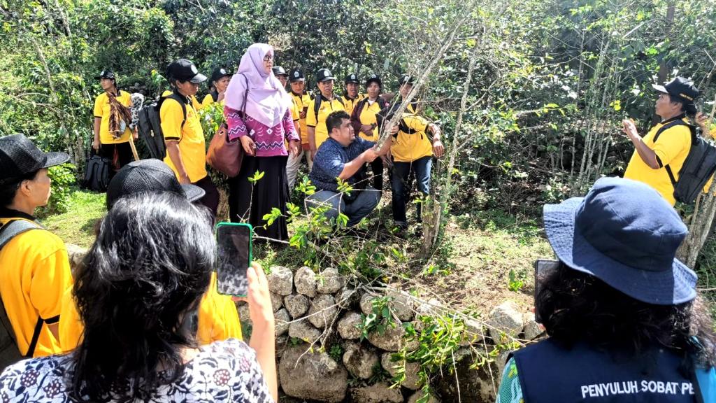 Dinas Ketahanan Pangan dan Pertanian Kabupaten Samosir Laksanakan Bimbingan Teknis/ Sosialisasi Peremajaan Kopi dalam Mendukung Desa Wisata
