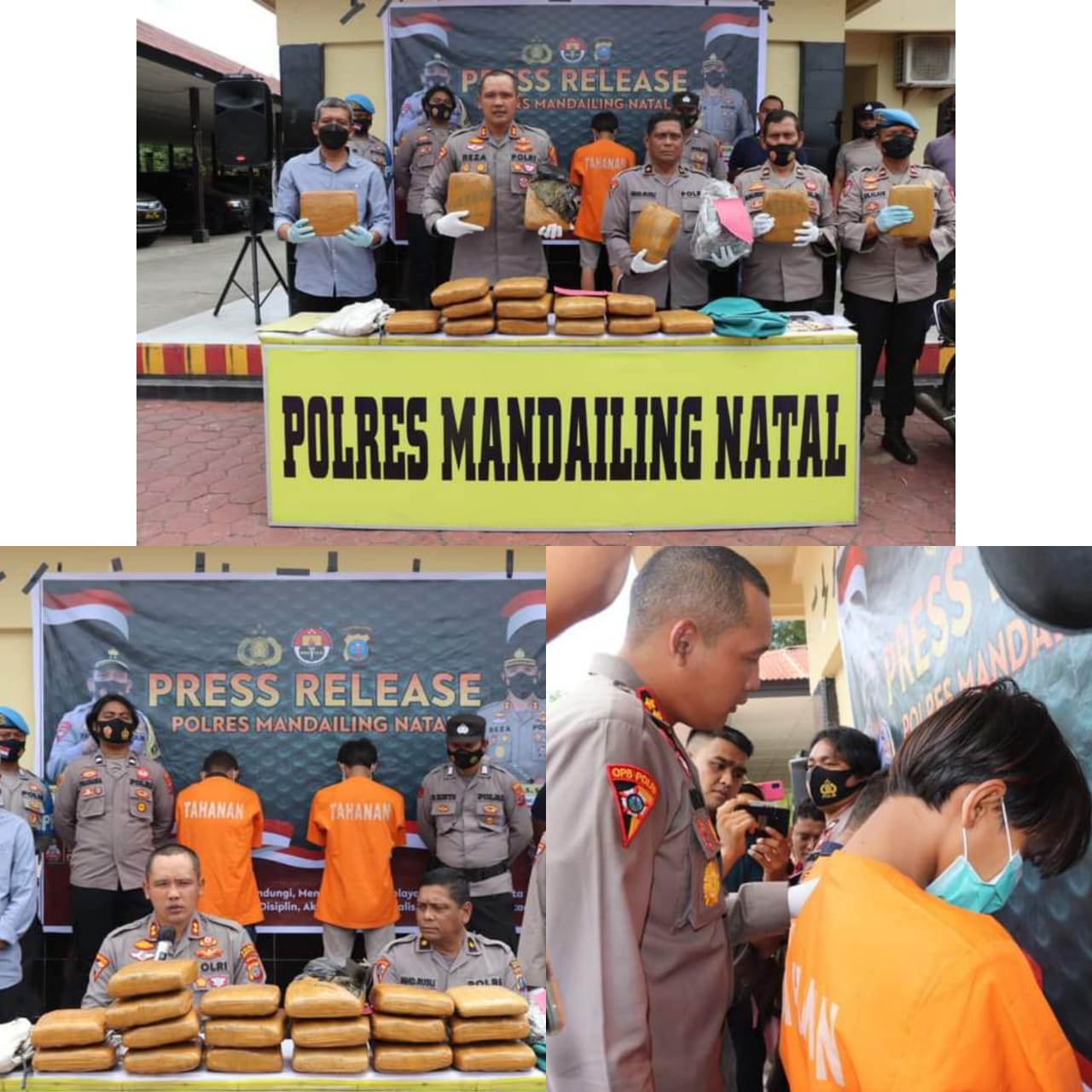 POLRES MADINA GELAR PRESS RELEASE PENGUNGKAPAN KASUS NARKOTIKA GOLONGAN I JENIS GANJA