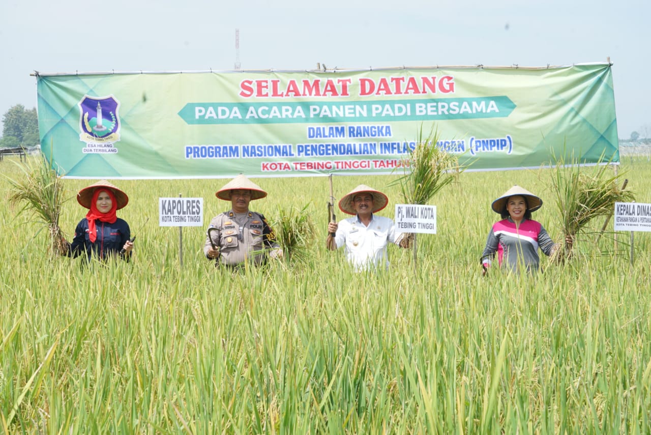 Koptan T. Tinggi Panen Raya Padi Pj. Wako : Jaga stok pangan dan kestabilan harga