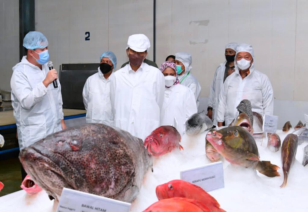 Kunjungi PT SIS, Wujud Jokowi Dukung Pengolahan Ikan di Tual