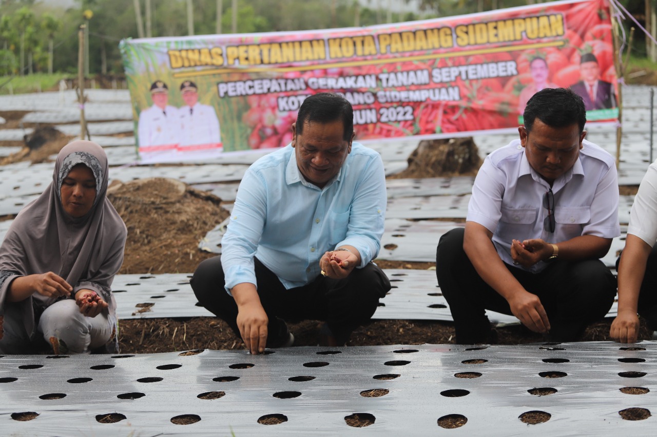Gerakan Tanam September untuk Pemenuhuan suplai kebutuhan komoditi menghadapi Natal 2022 dan Tahun Baru 2023