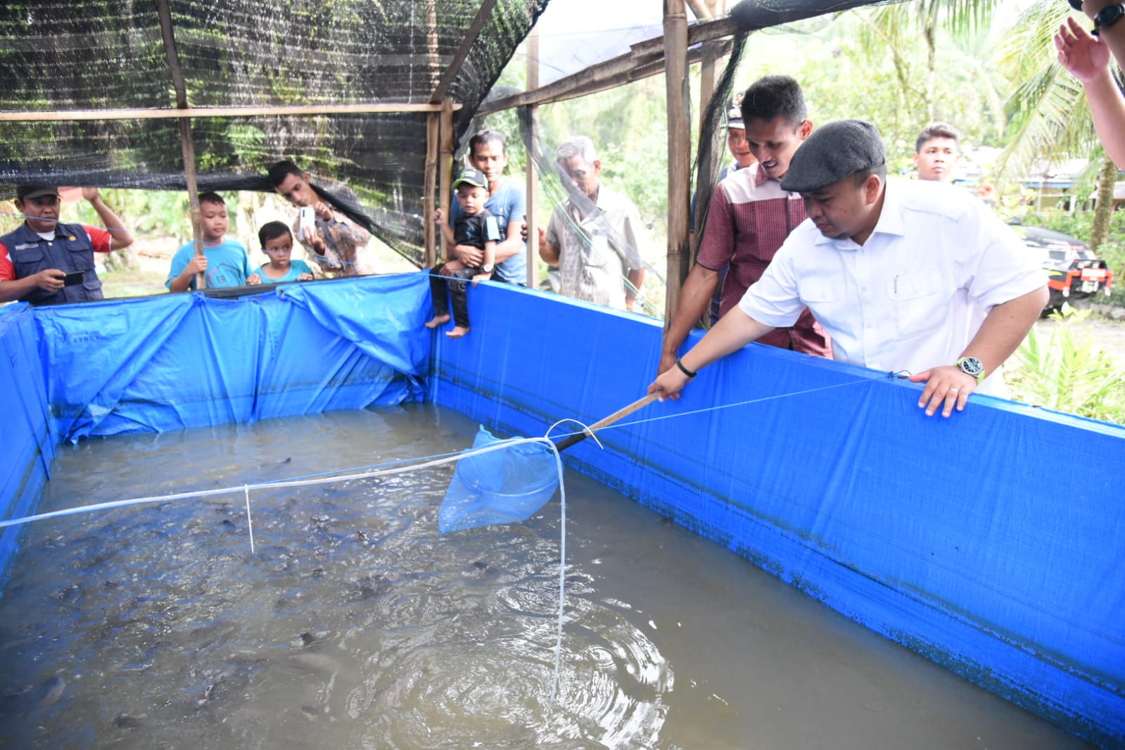 Pemkab Tapsel Upayakan Tingkatan Usaha Ikan Lele dan Bebek Petelur Terintegrasi
