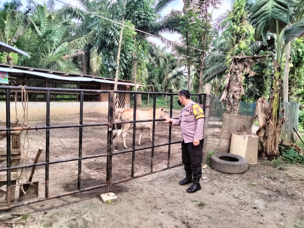 Bhabinkamtibmas Polsek Air Batu Gelar Sosialisasi Karhutla
