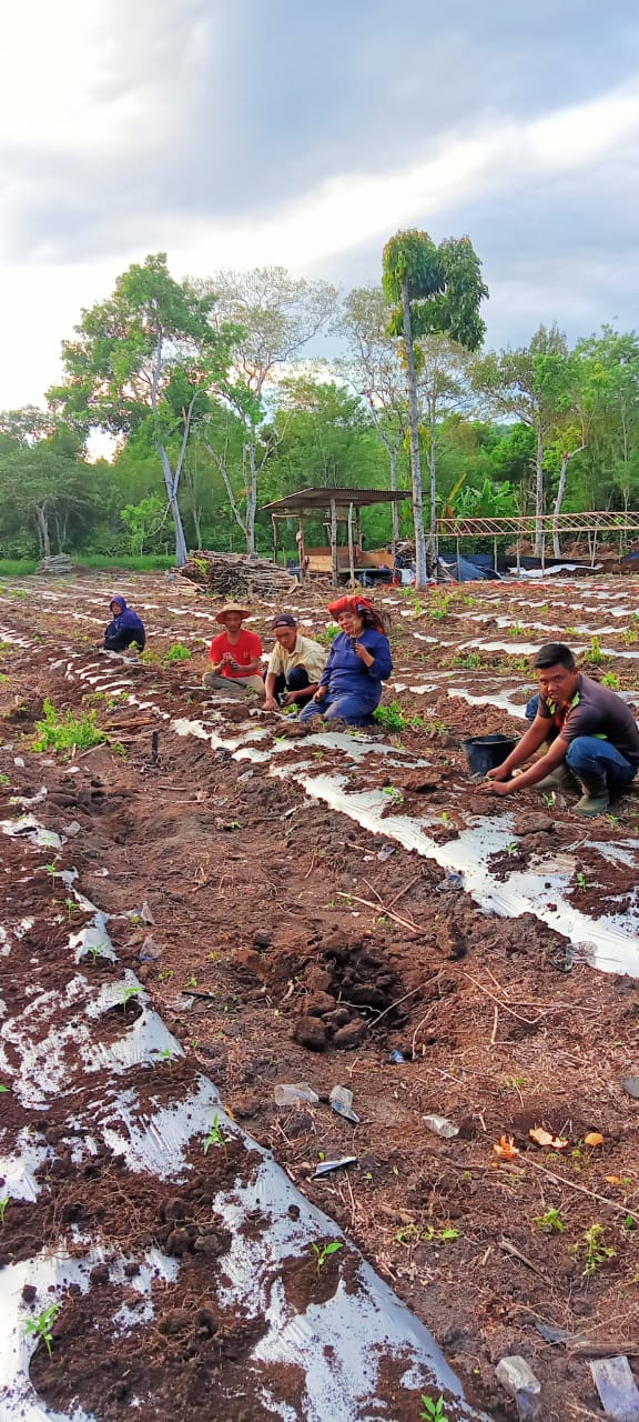 Penyaluran TJSL PLN ke Warga Sekitar PLTA Peusangan 88 MW Menuai Hasil Nyata