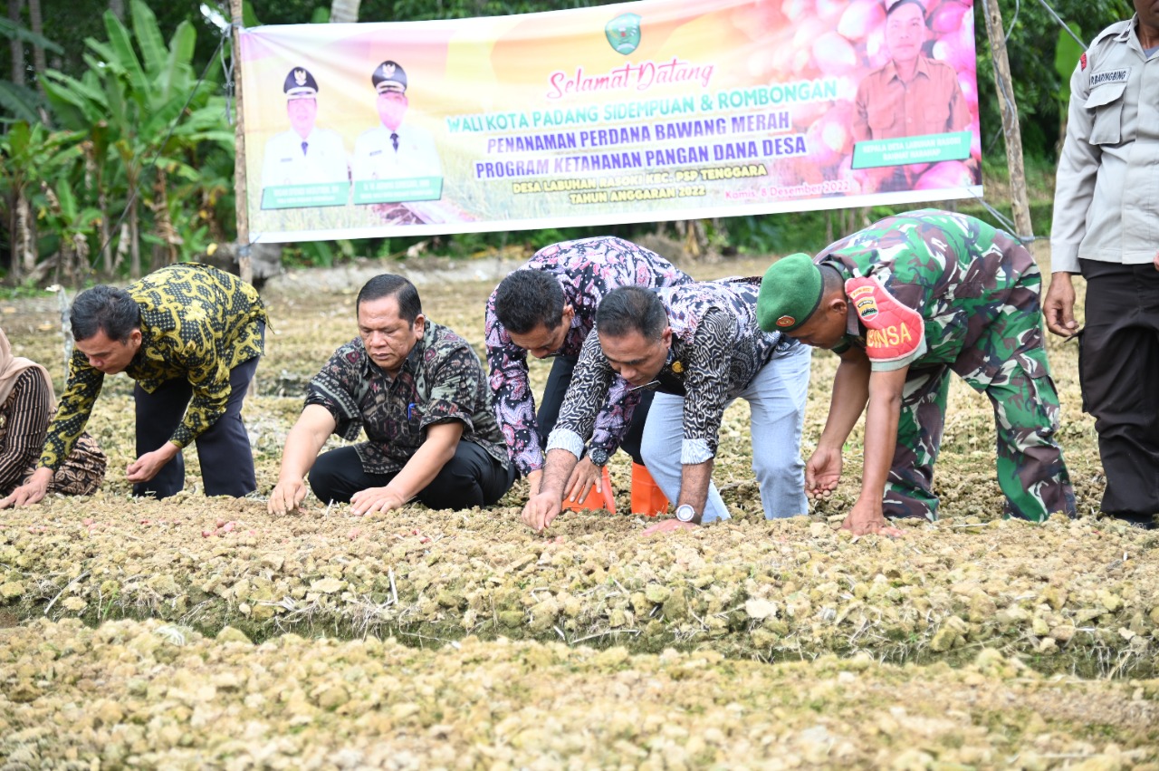 Walikota Padang Sidempuan Irsan Efendi Nasution Hadiri undangan kelompok tani Desa Labuhan Rasoki