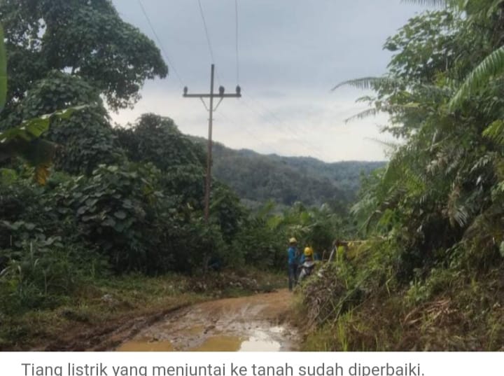 PLN Sigap Respon Warga Usai Dapat Info Kabel Listrik Menjuntai ke Tanah