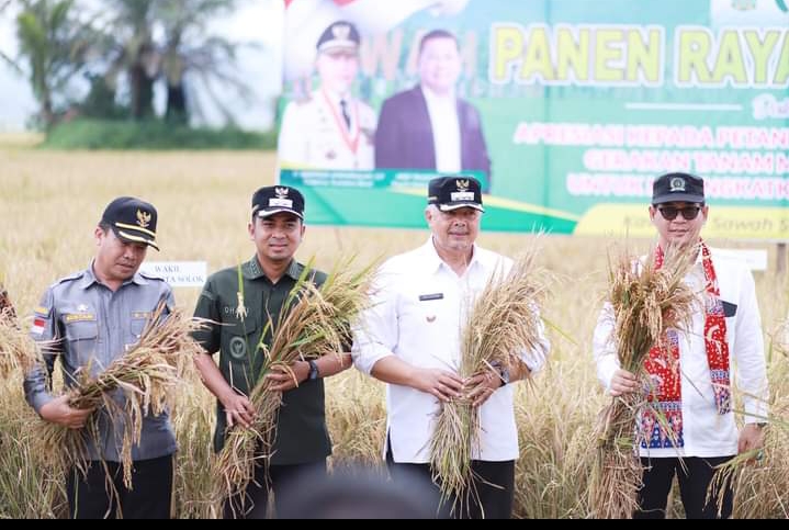Pemko Solok Gelar Panen Raya Padi Sawah Tahun 2023