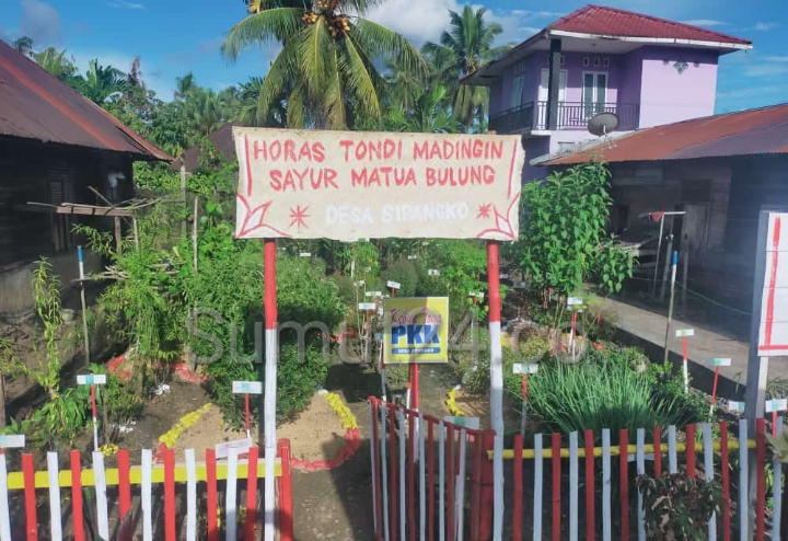 Pemkab Tapsel Dorong Pengembangan Toga, Kadinkes dr Rudi : Manfaat untuk Keluarga Cukup Banyak