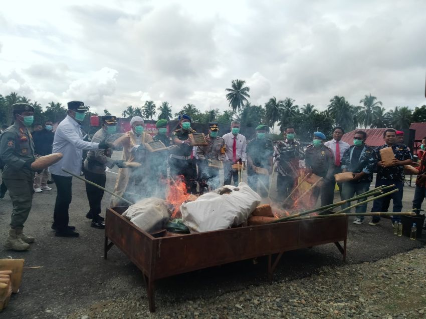 Polres Madina Bakar Ganja Hasil Operasi Oktober- Desember 2023