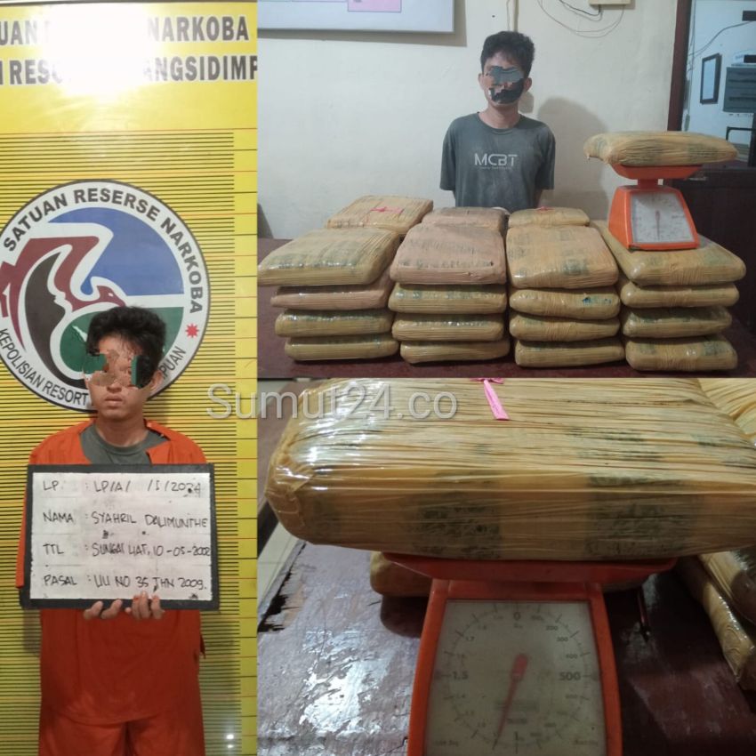 Polres Padangsidimpuan Ungkap Sindikat Narkotik jenis Ganja 35 Kg,AKBP Dudung Setyawan : Diduga Aktor Utama terus kita Kejar