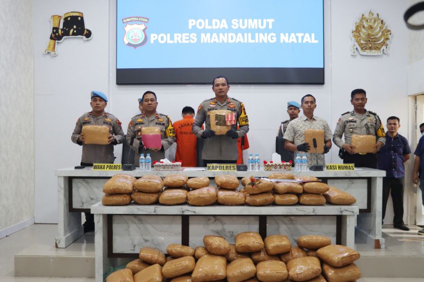 Polres Madina Ungkap Kasus Narkoba, Dua Tersangka dan 116 Kilo Ball Daun Ganja Diamankan