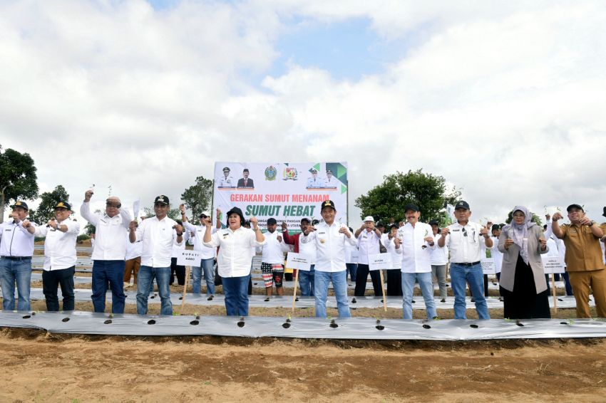 Pj Gubernur Sumut Tanam Cabai hingga Beri Bantuan ke Petani Karo