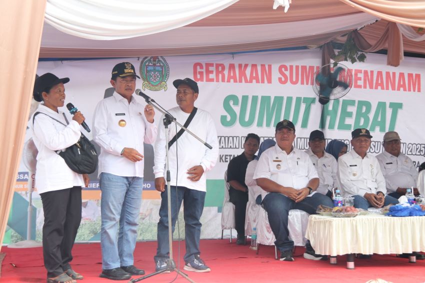 Pj Gubernur Sumut Tanam Cabai di Desa Serdang, Produksi dan Ketersedian Cabai Diharapkan Merata Sepanjang Tahun