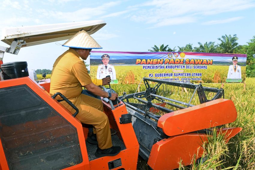 Panen Padi di Deliserdang, Pj Gubernur Pastikan Stok Beras Sumut Aman