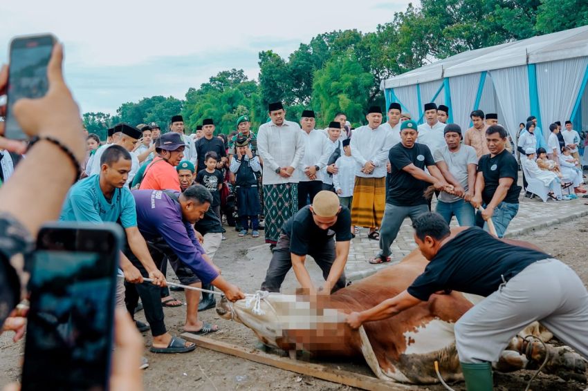 Merayakan Hari Besar Idul Adha, Pemko Medan Sembelih 212 Ekor Hewan Kurban