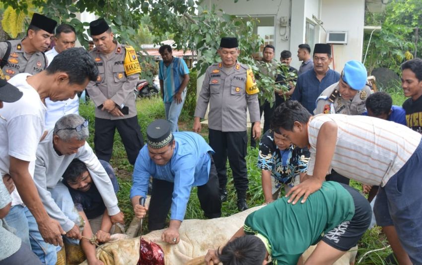 Polres Labusel Sembelih 9 Ekor Hewan Kurban dan Bagikan Bansos Kepada Masyarakat.