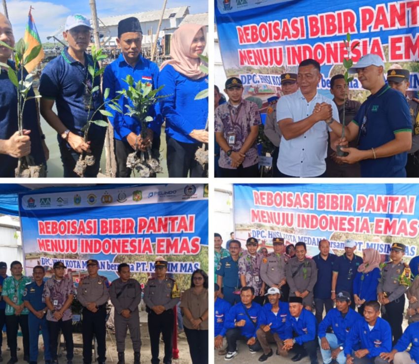 HNSI Kota Medan dan Musim Mas Laksanakan Penanaman Mangrove, Reboisasi Bibir Pantai Belawan Menuju Indonesia Emas