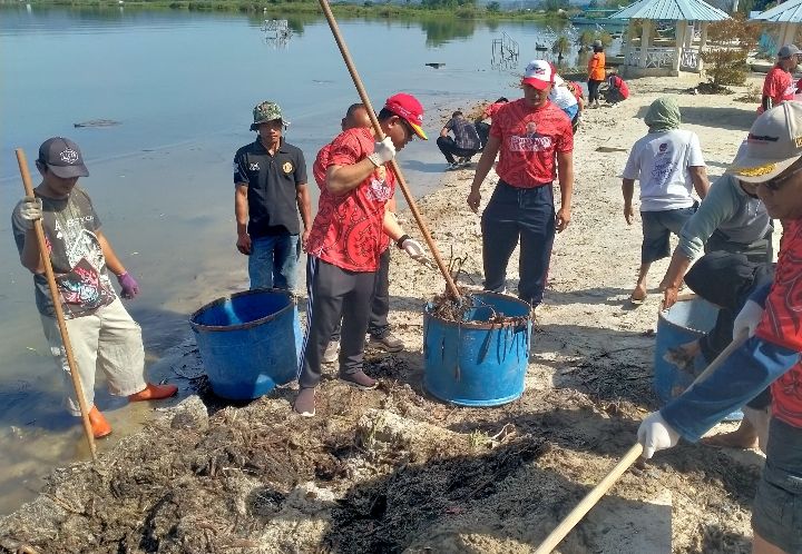 Bupati Toba Gotong royong Bersama Mahasiswa STIKES Arjuna Bersihkan Sampah di Pantai Pasir Putih Parparean