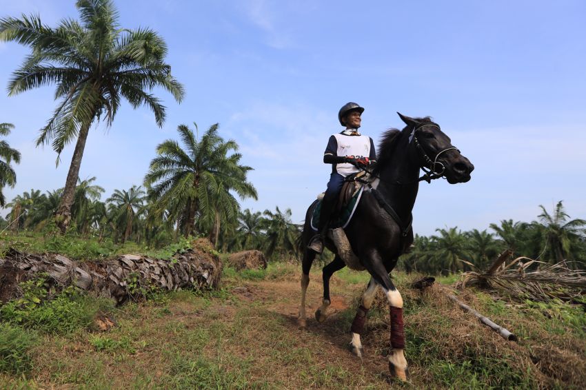 Cabor Berkuda: Jakarta dan Jawa Barat Raih Emas, Sumut Sumbang Perunggu