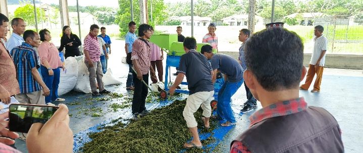 Dukung Sektor Pertanian Rakyat, PLN Serahkan TJSL untuk P3A di Toba