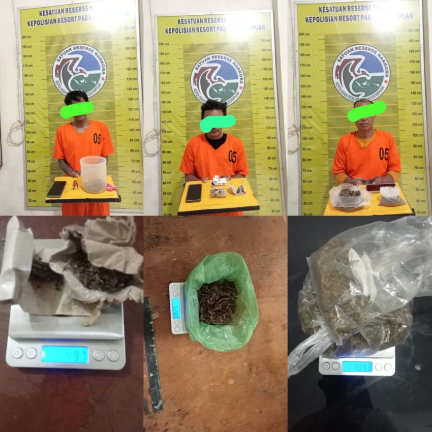 Penangkapan 3 Pelaku Narkoba jenis Ganja 128,7 Gram,AKBP Dr Wira Prayatna : Kita Terus Berantas dan Memutus rantai peredaran narkotik di Kota Padangsi