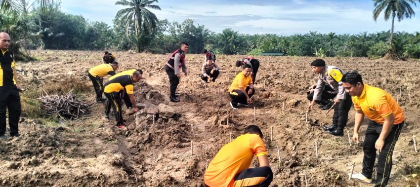 Polresta Deli Serdang Siapkan Lahan Untuk Ketahanan Pangan