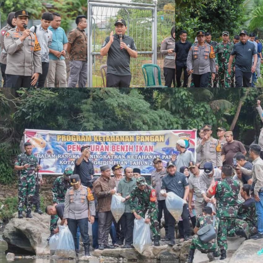 Dukung Asta Cita Presiden RI Prabowo Subianto,Forkopimda Padangsidimpuan Tabur 3.000 Bibit Ikan Di Lubuk Larangan Kel. Aek Tampang