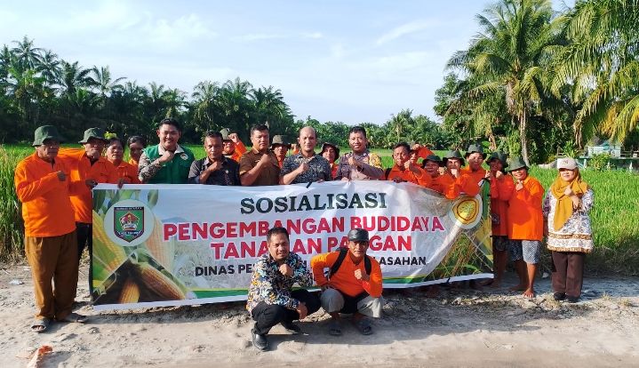 Bhabinkamtibmas Polsek Air Joman Bersama Dinas Pertanian Sosialisasi Pengembangan BUDIDAYA Tanaman Pangan