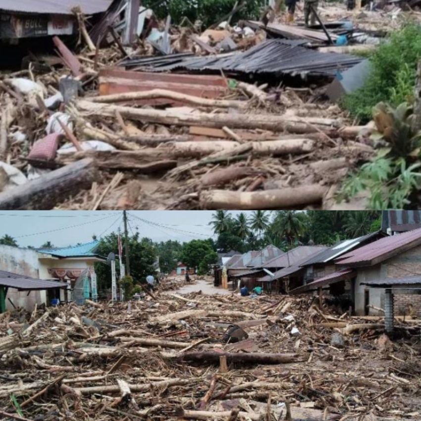 Banjir Bandang di Tantom Tapsel terlihat ribuan kubik Glondongan Kayu Perparah Kerusakan, 700 Warga Mengungsi