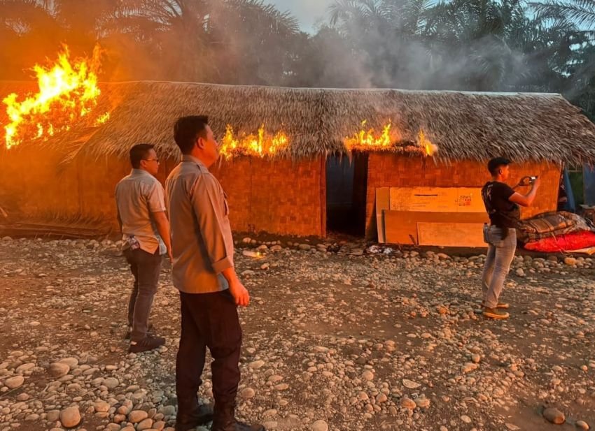 Grebek Sarang Narkoba di Sumut: TNI-POLRI Tangkap Puluhan Pelaku dan Musnahkan Barak